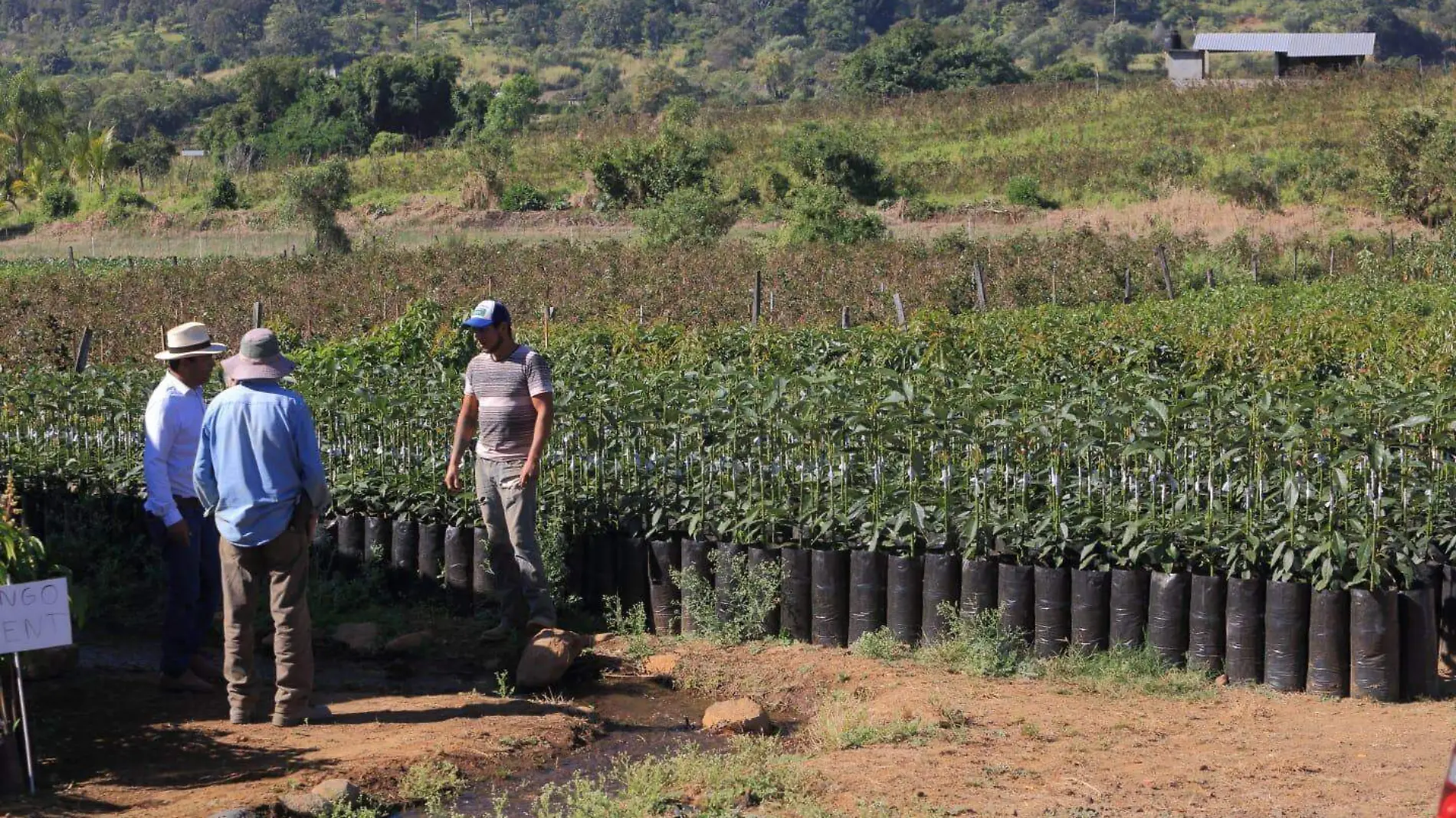 Trabajadores del Campo